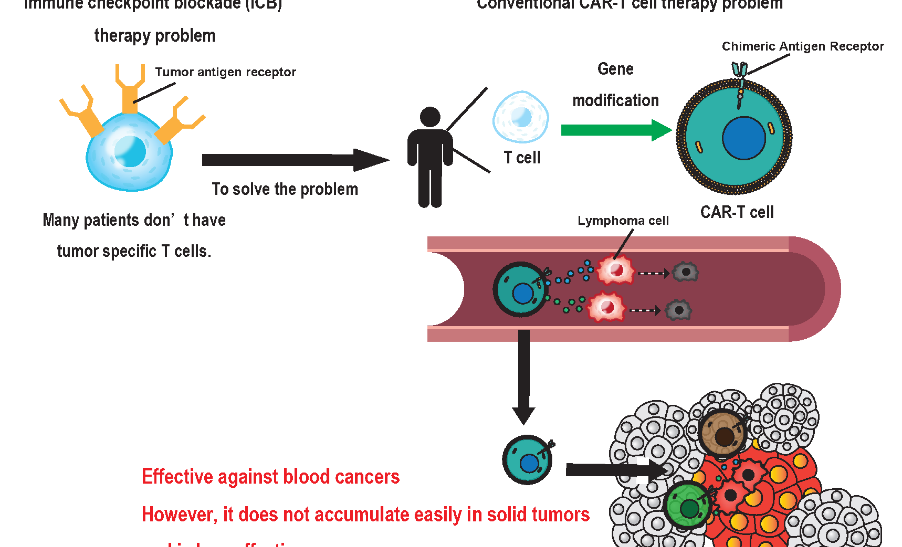 POC project (82-Taira): Figure 1