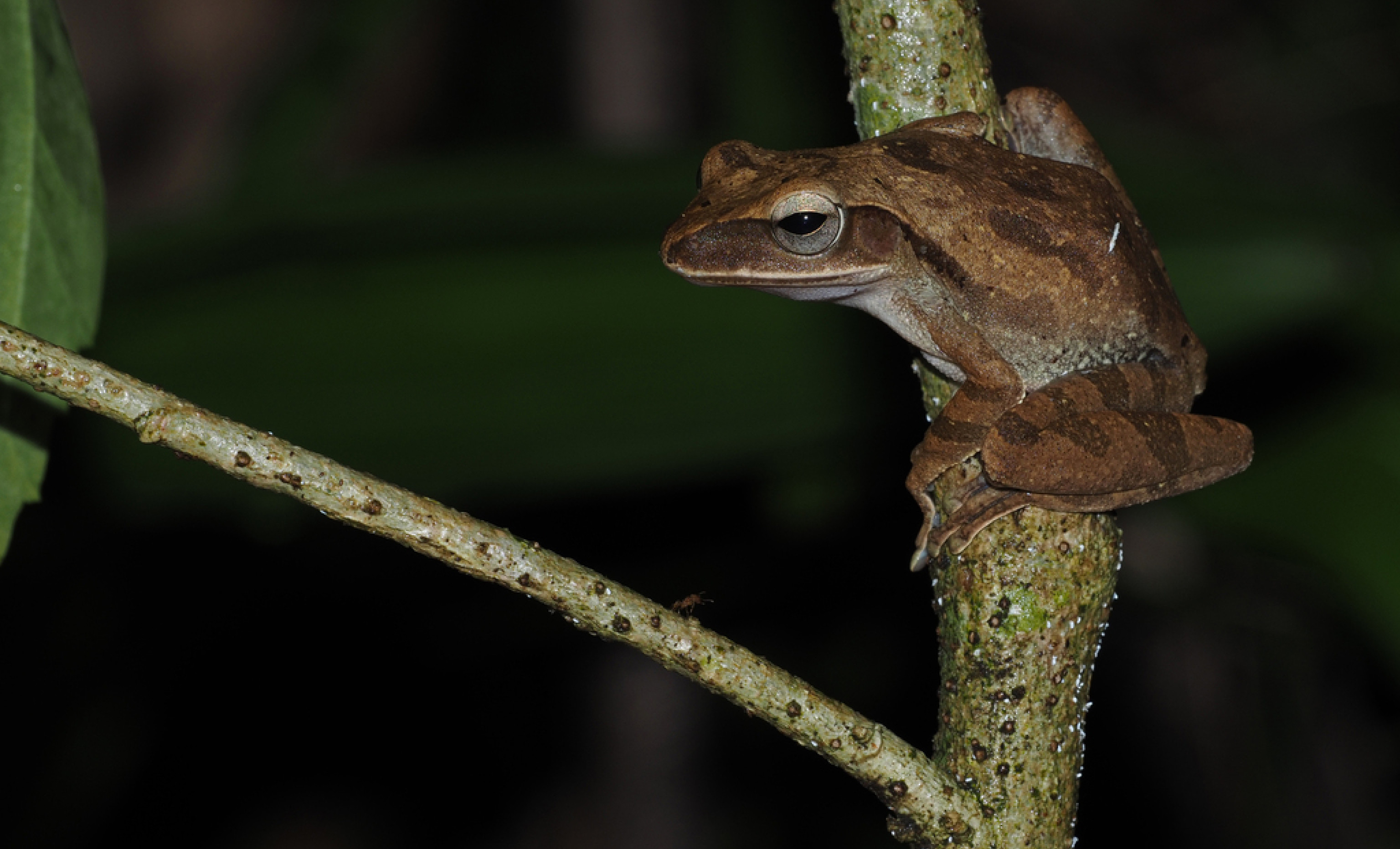 POC project (84-Deligkaris): Figure 2