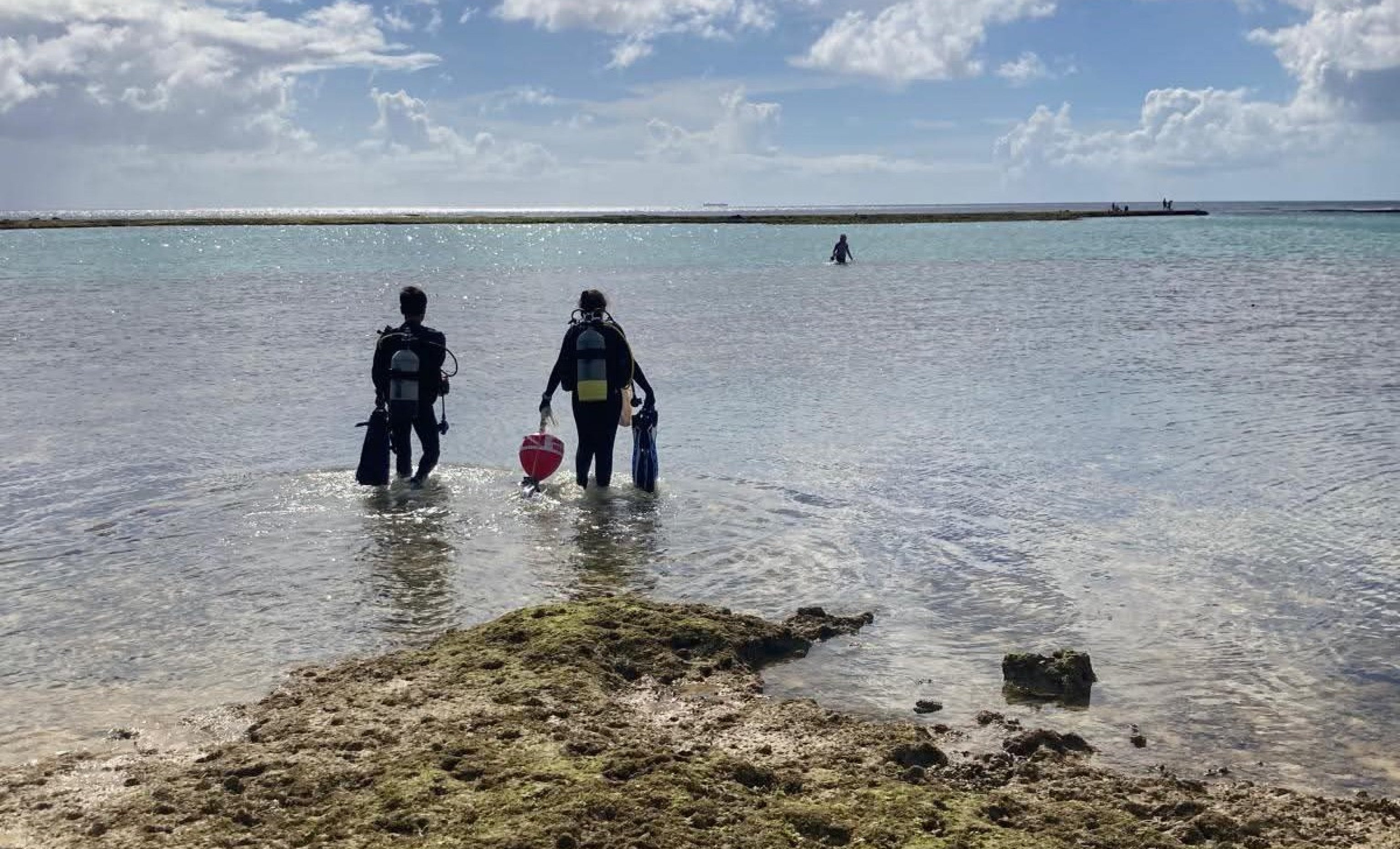 Two researchers in scuba gear wade through shin-deep water on their way to start the dive.