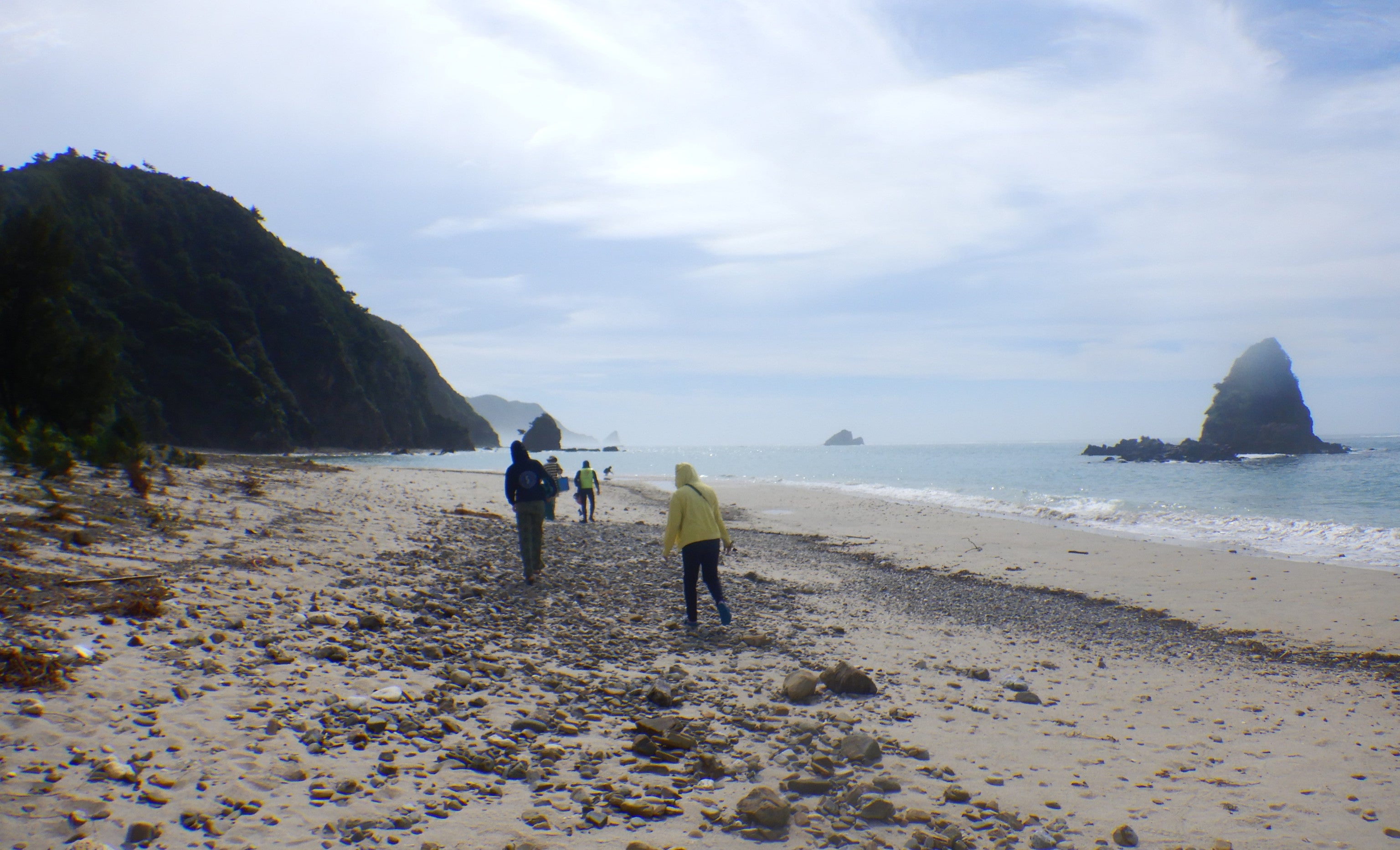 A research team in wet weather gear walk along a misty natural beach.