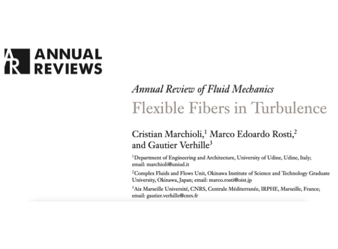 Paper published ARFM2026