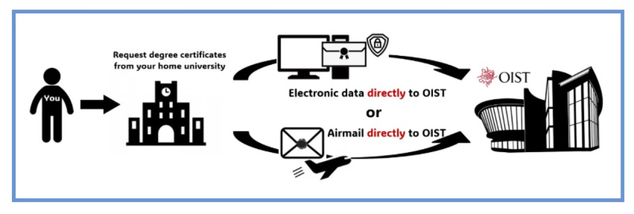 degree verification workflow image