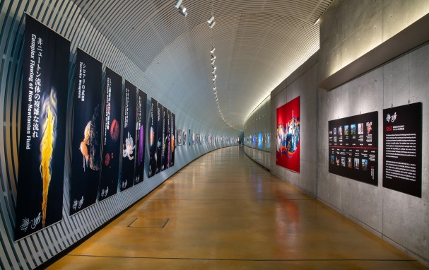 Tunnel Gallery