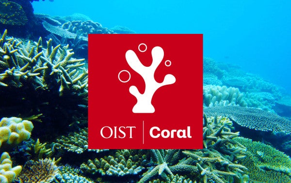 OIST Coral Project Article Heather