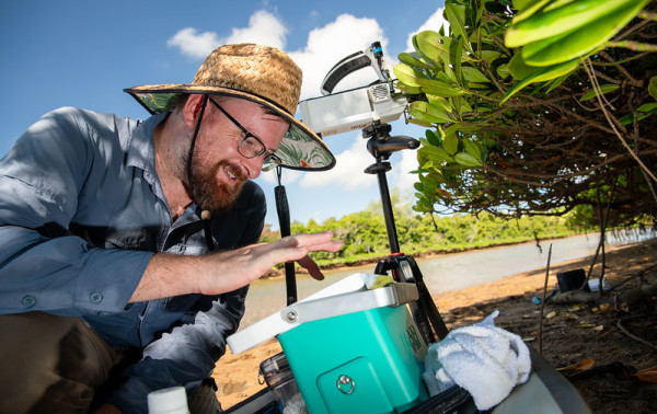 A researcher working outdoors