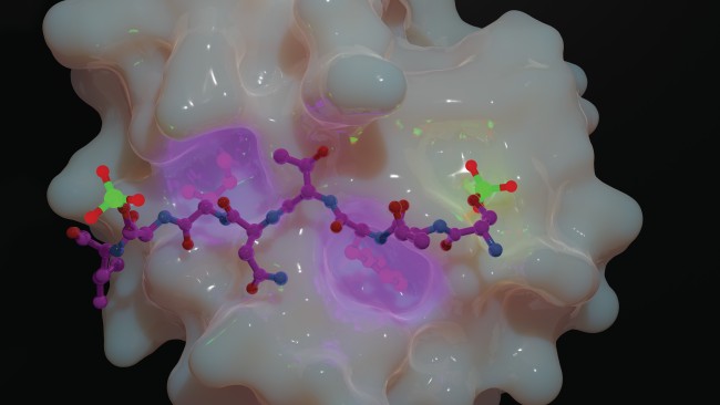 白い不規則な形状の立体の上に表示された赤紫と青の折れ線