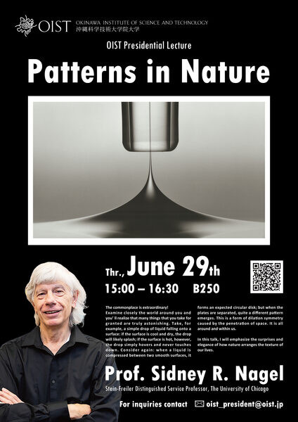 Presidential Lecture: Patterns in Nature by Prof. Sidney Nagel