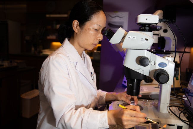 A researcher in a white coat looking into a lab equipment