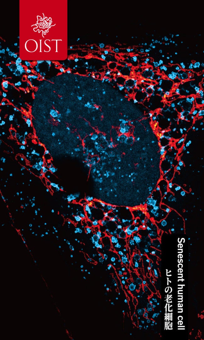 red and blue dots on the dark background