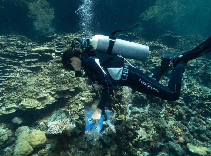A researcher collecting specimens from the coral reef in Nikko Bay