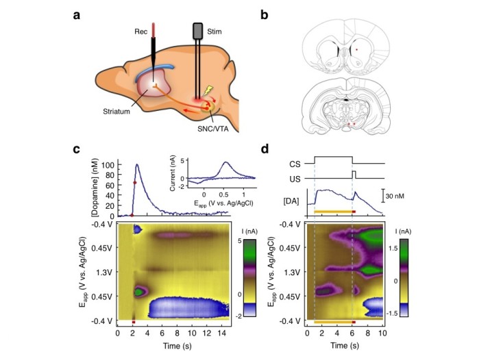 nru FY2011 Annual Report 3