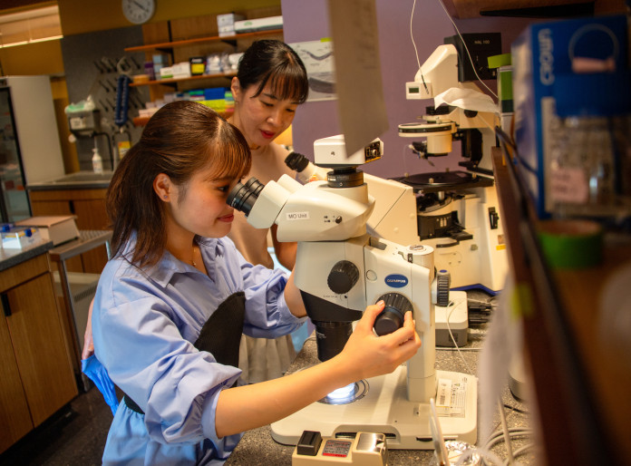 Centrosome Dynamics and Evolution Lab