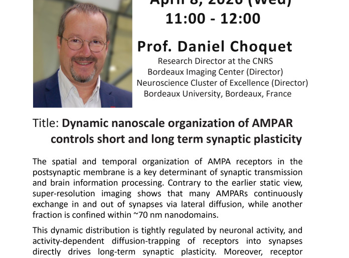 Dynamic nanoscale organization of AMPAR control short and long term synaptic plasticity