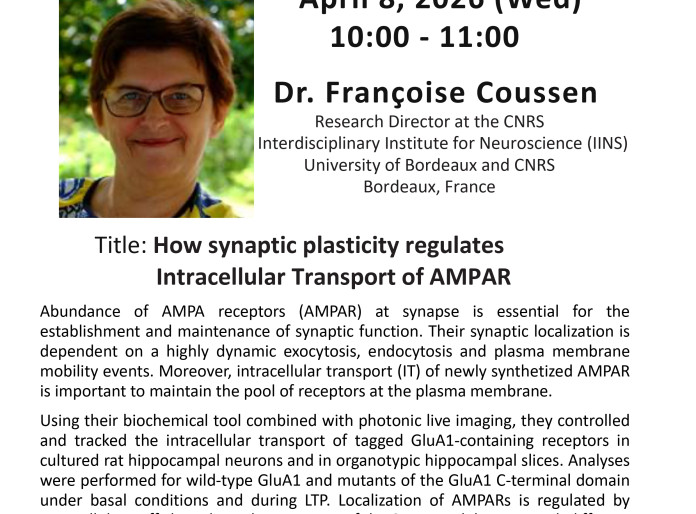 How synaptic plasticity regulates Intracellular Transport of AMPAR