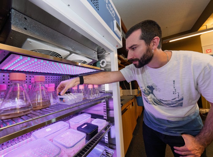 Man looking at conical flask in fridge