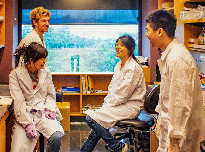 Four researchers talking in a lab