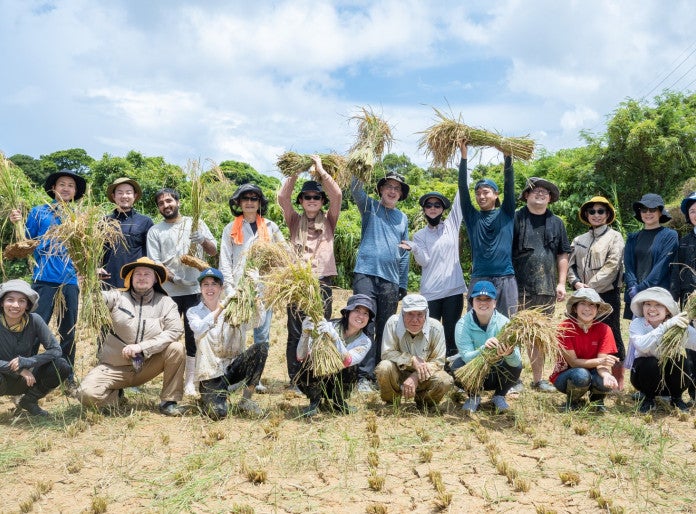OIST and Onna Village's New High-Performance Rice Named "Churaotome"