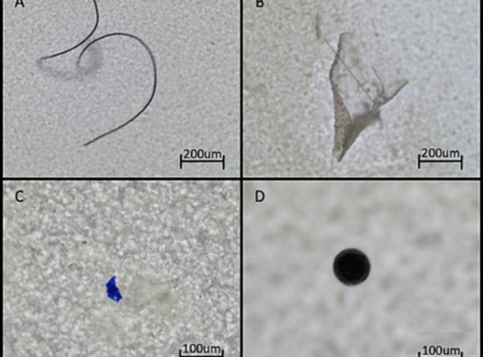 Plastitective — Fast and Efficient Microplastic Detection