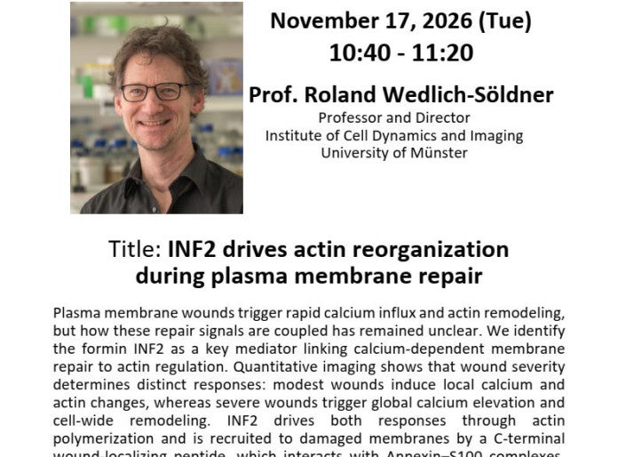 INF2 drives actin reorganization during plasma membrane repair
