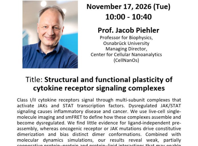 Structural and functional plasticity of cytokine receptor signaling complexes
