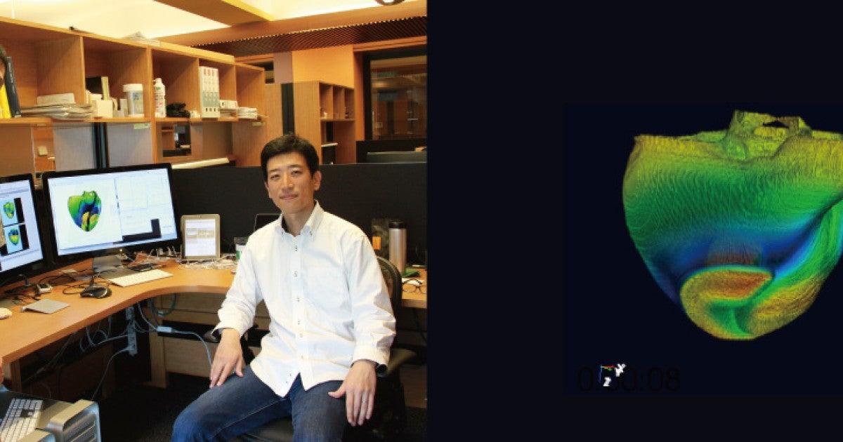 仮想生体モデル」を育てる科学者たち | 沖縄科学技術大学院大学（OIST）