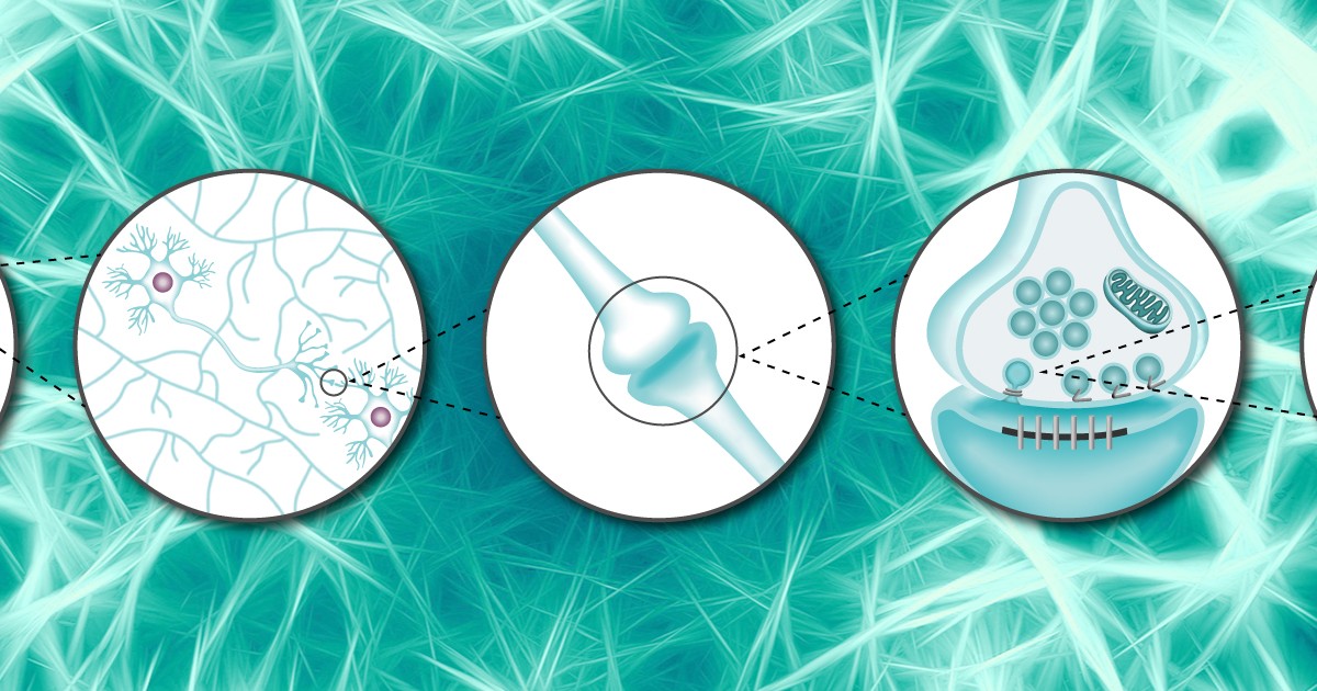 20201215-CoverImage.jpg?h=