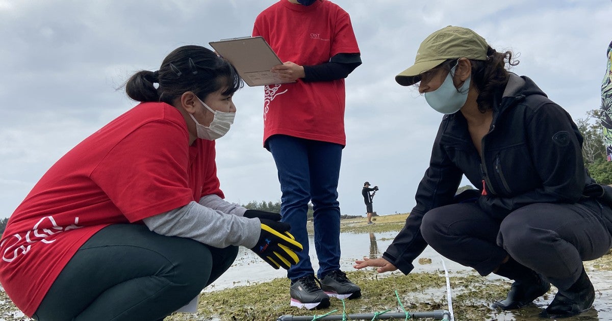Hi Sci Lab 2021 2 | Okinawa Institute of Science and Technology OIST