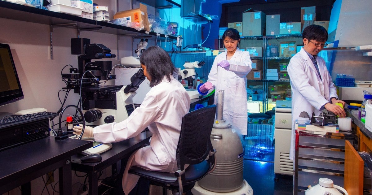 Scientists in a Lab | Okinawa Institute of Science and Technology OIST