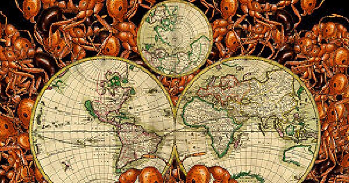 World Ant bbu Post New Paper on Global Ant Diversity image 01 | Okinawa Institute ...
