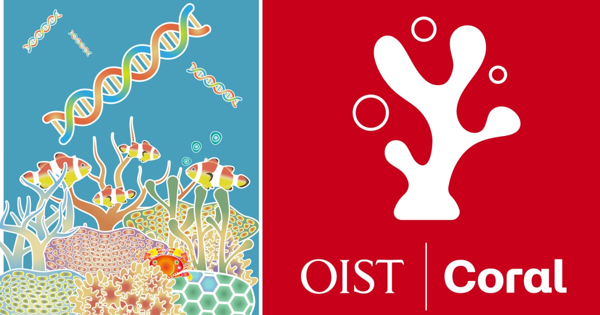 サンゴの日を前に―OISTサンゴプロジェクト、一年目の取り組み | 沖縄