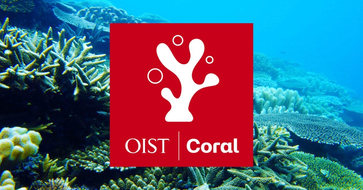 OIST サンゴプロジェクトが岩佐賞を受賞 | 沖縄科学技術大学院大学（OIST）