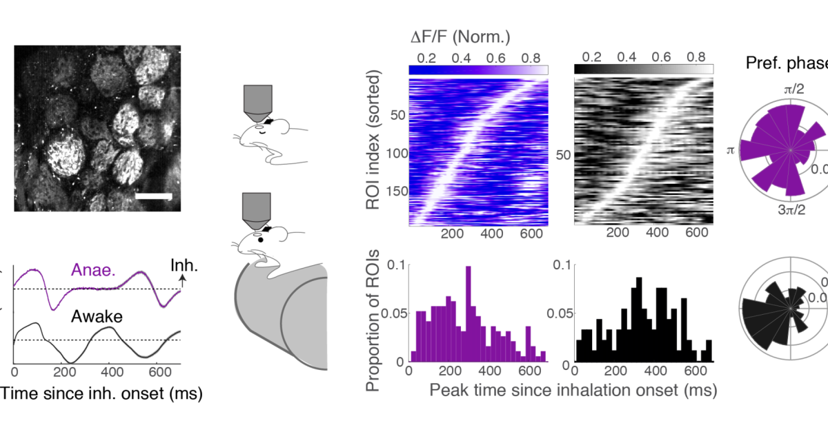 sbn Publications 10 | Okinawa Institute of Science and Technology OIST