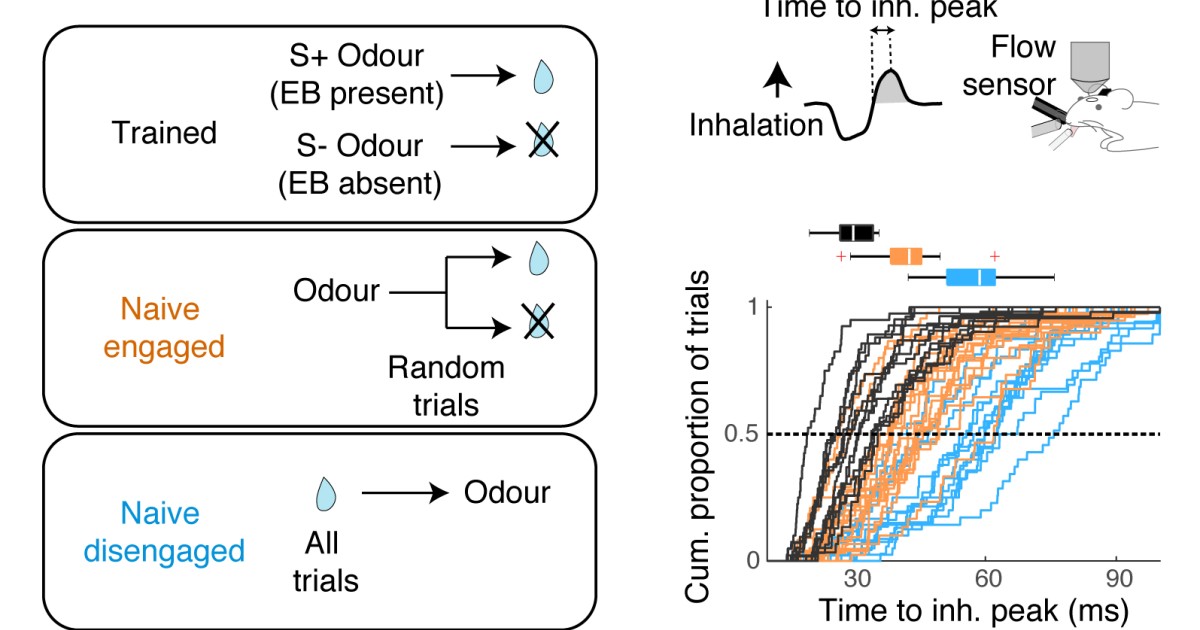sbn Publications 06 | Okinawa Institute of Science and Technology OIST