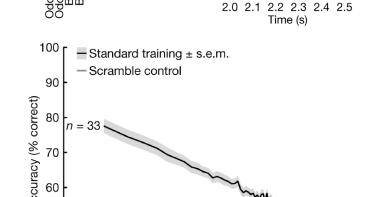 sbn Publications 09 | Okinawa Institute of Science and Technology OIST
