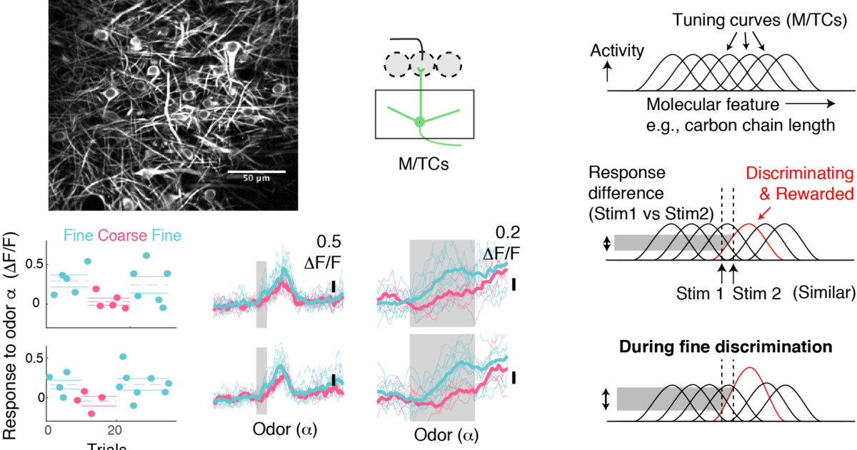 sbn FY2018 Annual Report 02 | Okinawa Institute of Science and ...