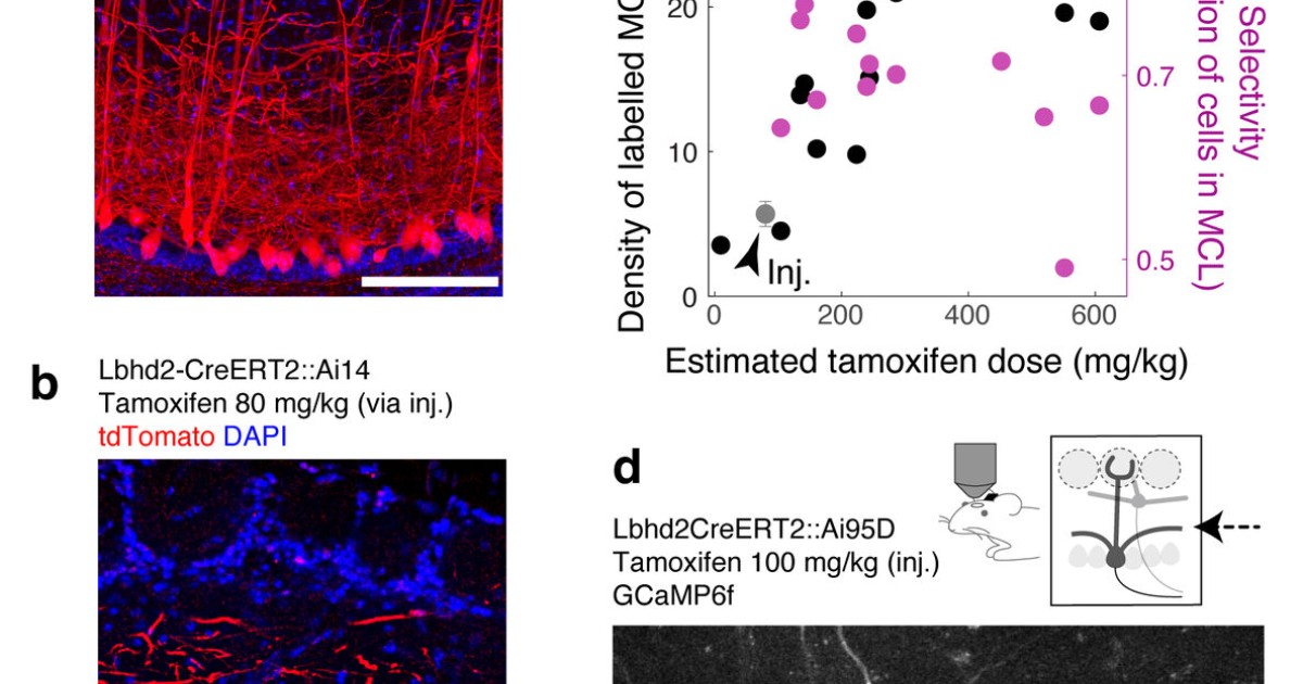 sbn Publications 02 | Okinawa Institute of Science and Technology OIST