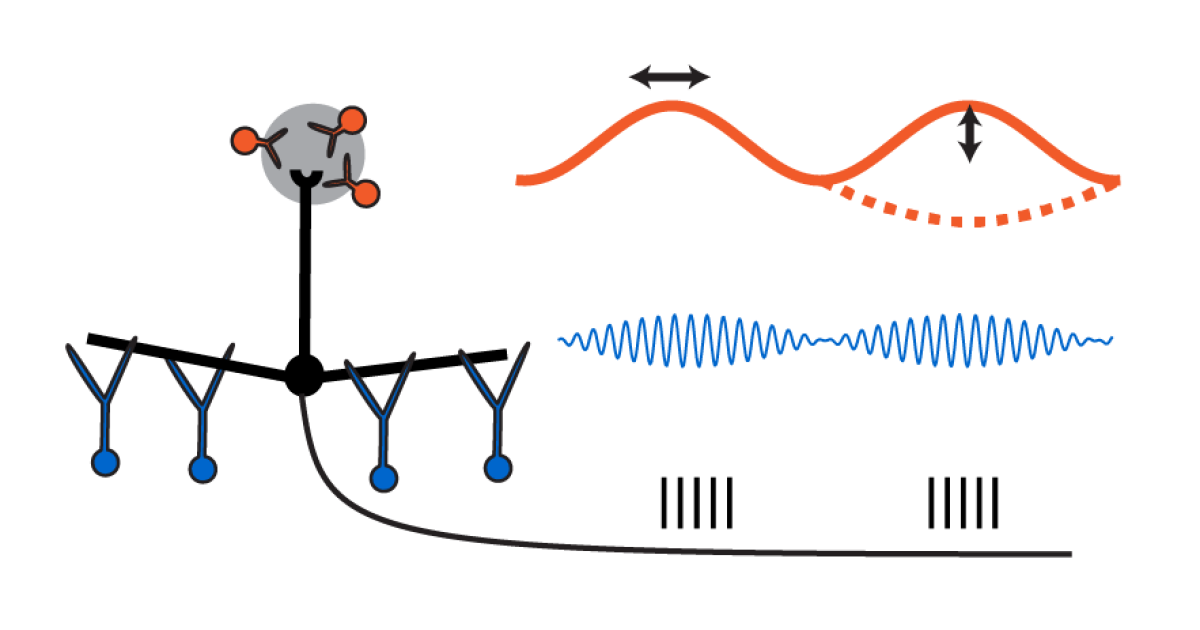 sbn Publications 14 | Okinawa Institute of Science and Technology OIST
