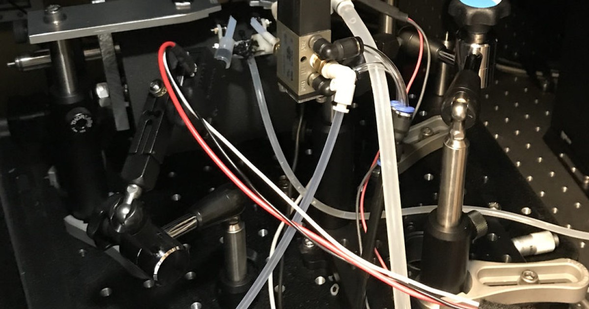 sbn FY2017 Annual Report 02 | Okinawa Institute of Science and ...