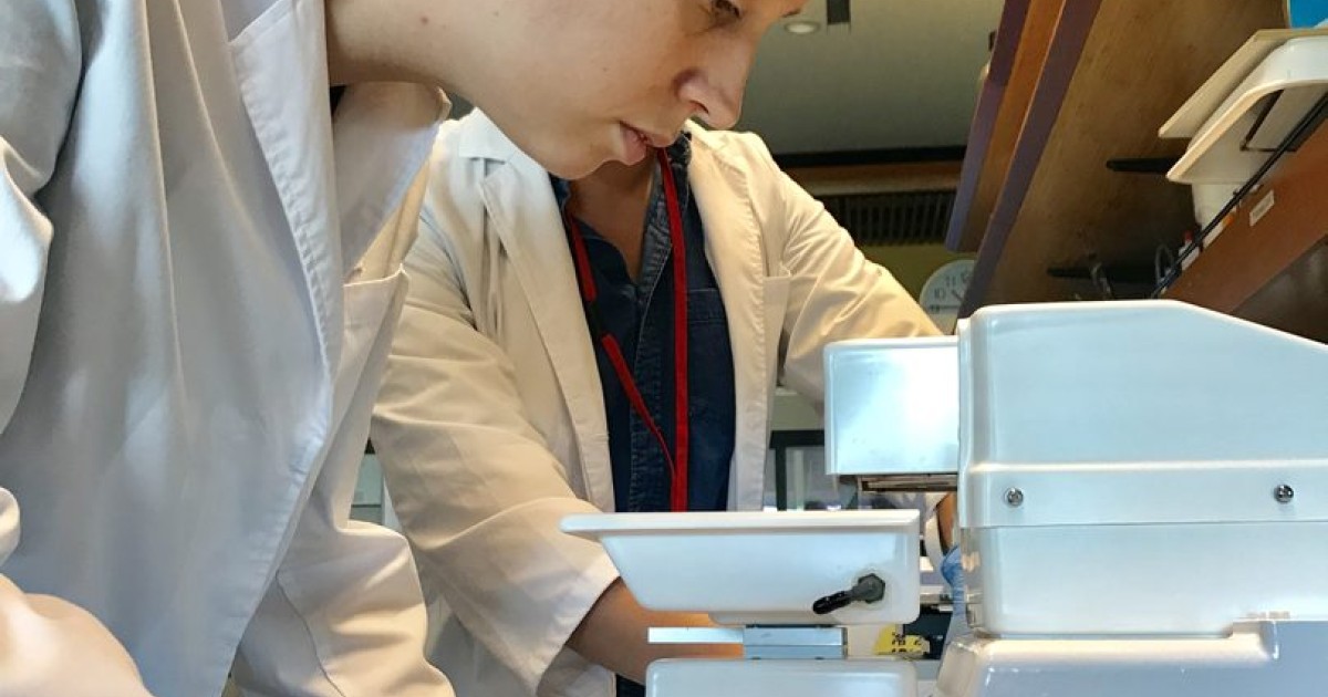 sbn Photos 05 | Okinawa Institute of Science and Technology OIST