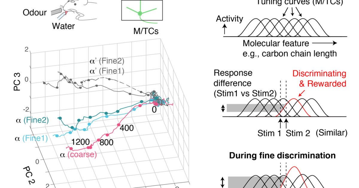 sbn Publications 11 | Okinawa Institute of Science and Technology OIST