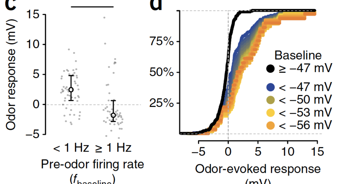 sbn Publications 15 | Okinawa Institute of Science and Technology OIST