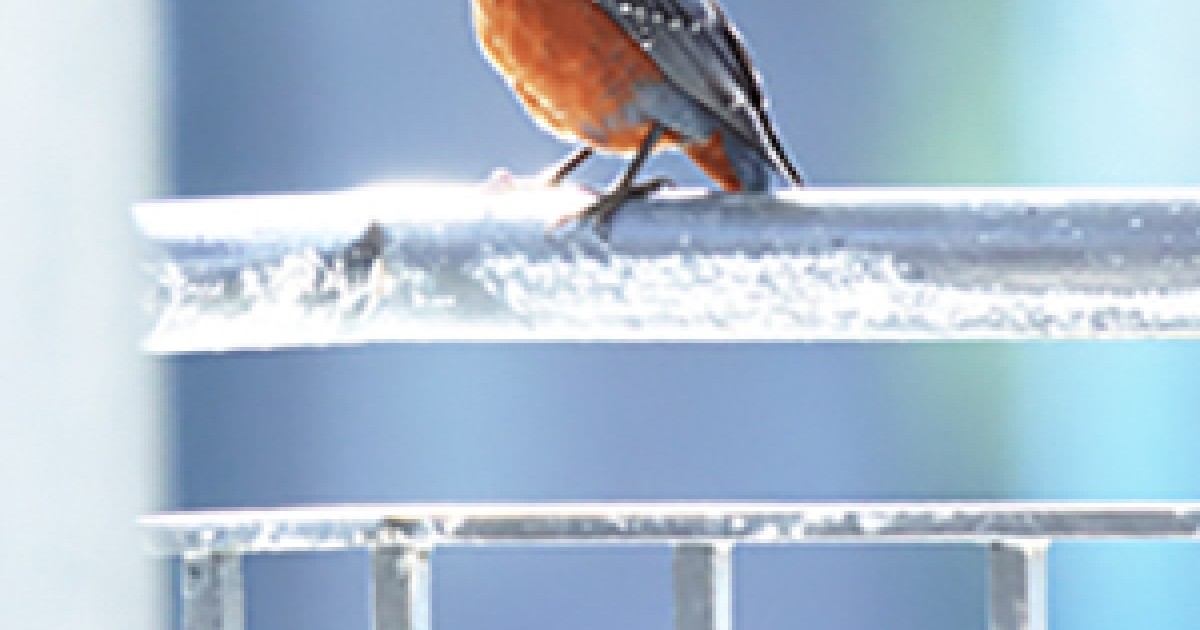 sbn Sayori Gordon | Okinawa Institute of Science and Technology OIST