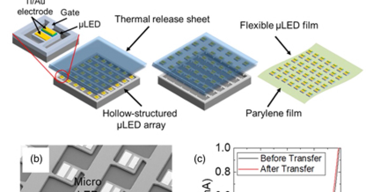 sbn Publications 07 | Okinawa Institute of Science and Technology OIST