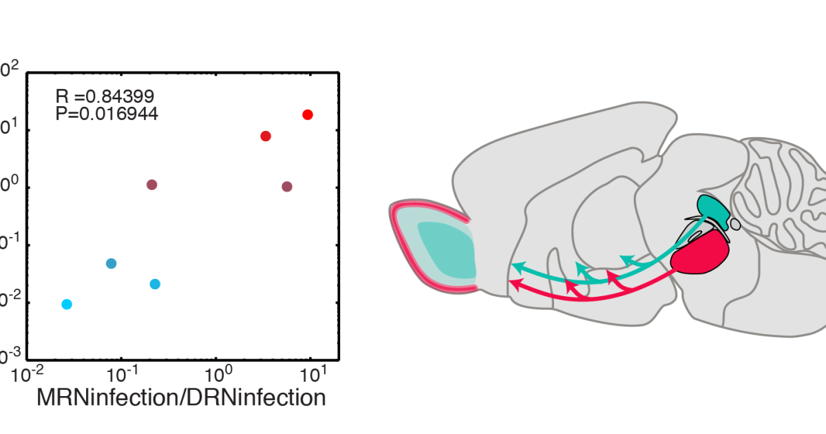 sbn Publications 13 | Okinawa Institute of Science and Technology OIST