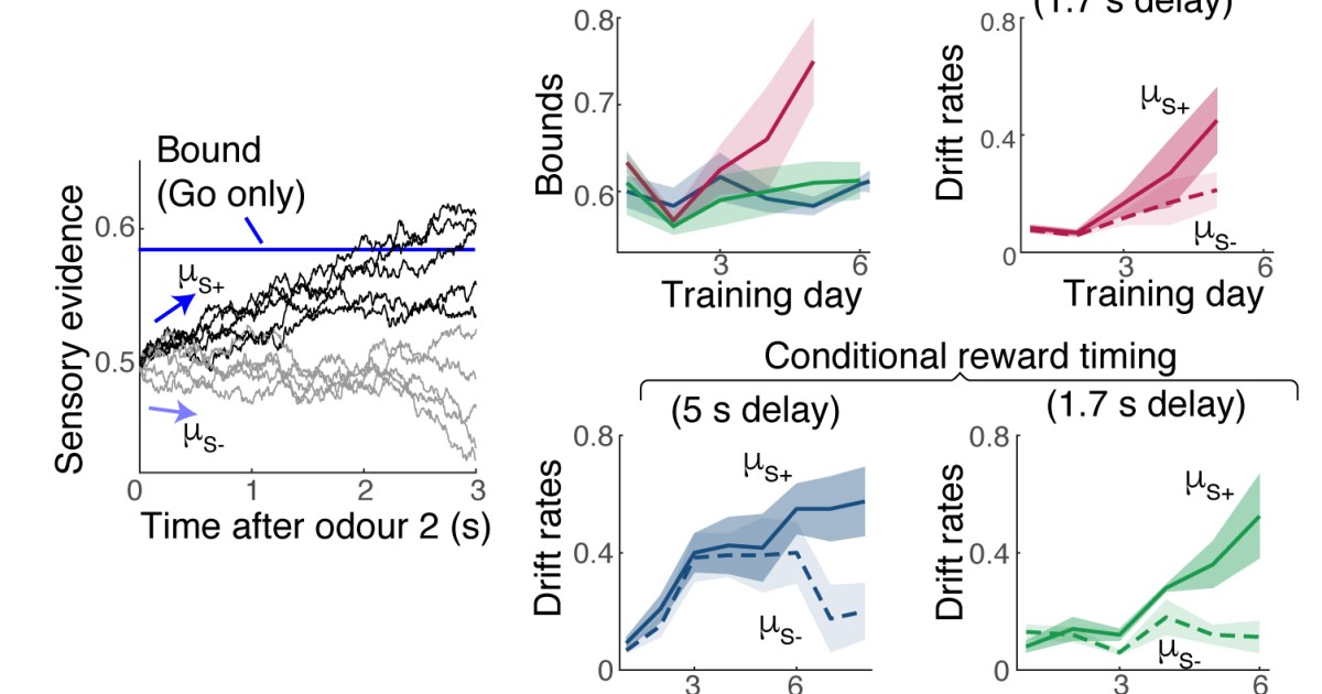 sbn Publications 03 | Okinawa Institute of Science and Technology OIST