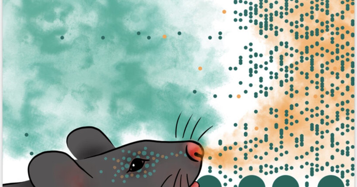 sbn Publications 04 | Okinawa Institute of Science and Technology OIST