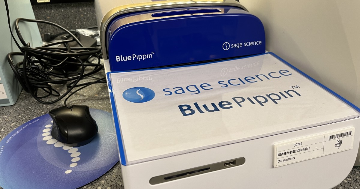 BluePippin_SQCCE006 Okinawa Institute of Science and Technology OIST