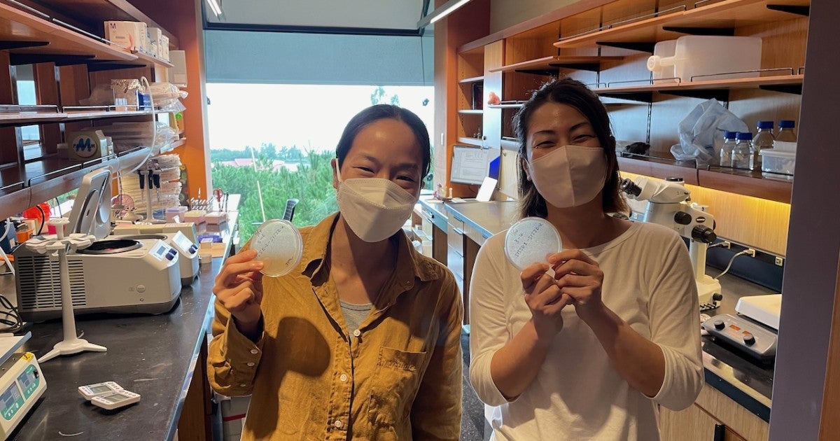 First Experiment | Okinawa Institute of Science and Technology OIST