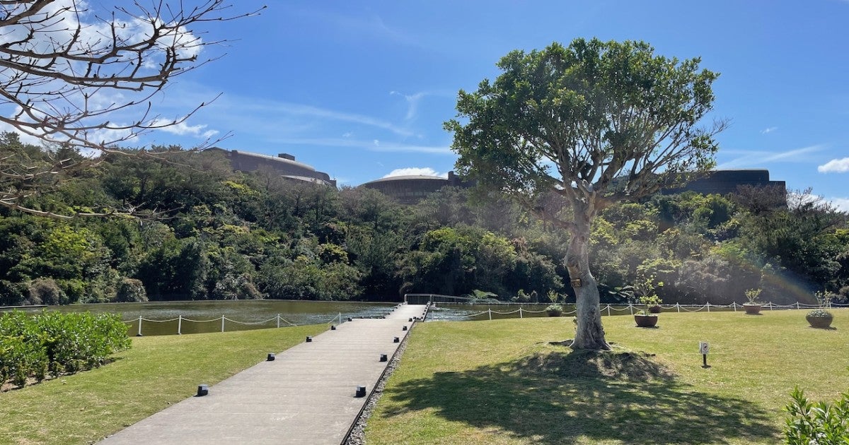A Sunny Day at OIST | Okinawa Institute of Science and Technology OIST