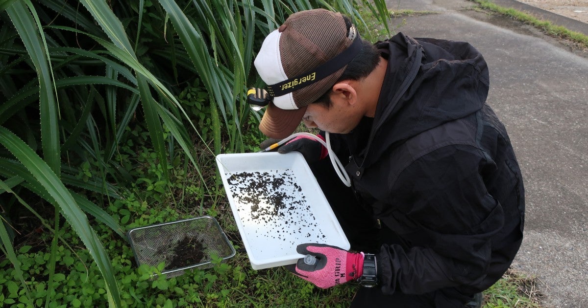 cf-esi field ant collecting | Okinawa Institute of Science and ...